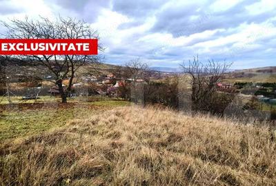 Teren de 857 mp, în Sopor - 1