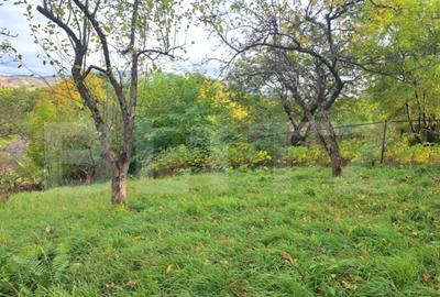 Casă cu 4 camere cu Canalizare în Central - 5