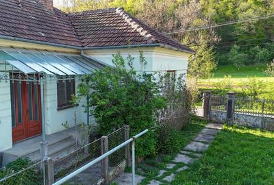 Casă cu 4 camere în Burjuc - 1