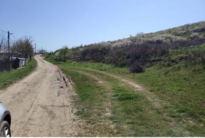 Teren Construcții extravilan de 20000 mp, în Șorogari - 6