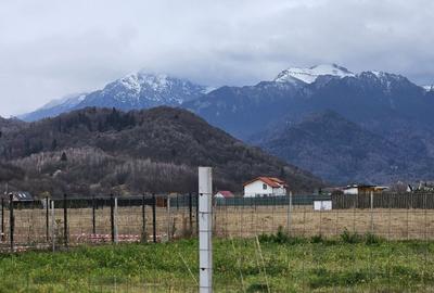 Rasnov -Glejarie 1000 mp front 42m posibilitate duplex sau 2 constructii - 12