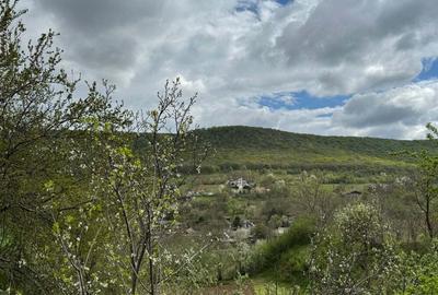 Vand casa in orasul Babadag, zona linistita! Vand casa in orasul Babadag, zona linistita! - 9