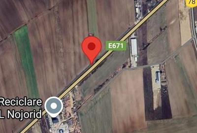 Teren de 5500 mp, în Nojorid - 4