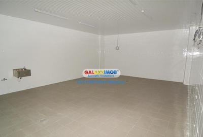 / spatiu productie alimentara P-ta Delfinului - 2