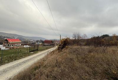 Spațiu comercial, în Ciurila - 3