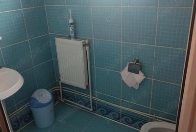 Casă cu 1 camere cu Teren 100 Mp în Hașdeu - 2