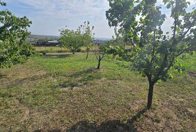 Teren cu cabanuta de lemn in Zaicesti - 7