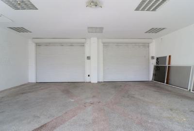 Casa individuala, plan parter in Mehala - 18