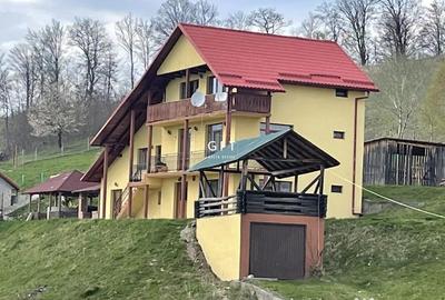 Casă cu 7 camere cu Teren 3500 Mp în Colibița - 9