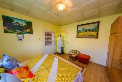 DE VANZARE Oportunitate rara proprietate cu 2 case zona Ulmeni - 19