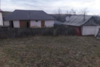 De vanzare casa cu pamant - 1