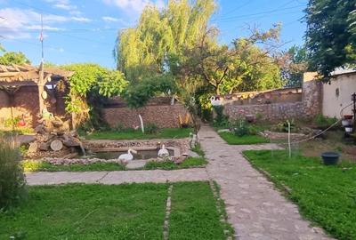 Casa parter cu teren de 1400 mp in Bariera Valcii aproape de drumul expres - 9