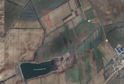 Teren de 11510 mp, în Tămășeu - 1