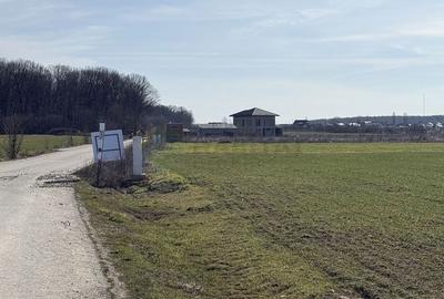 Spațiu comercial, în Ciolpani - 9