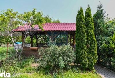 Casă cu Teren 4015 Mp în Tureni - 18