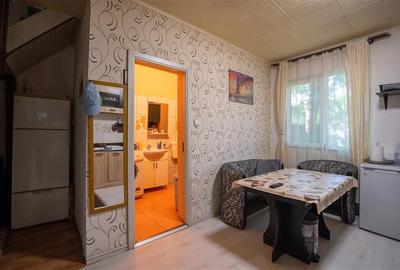 Apartament la casa ultracentral T.Vladimirescu - 5