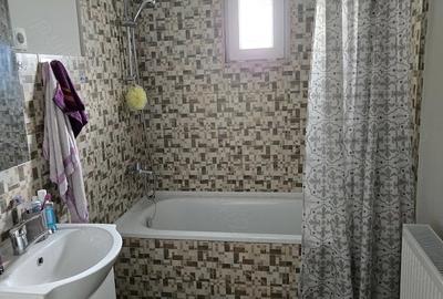 Apartament cu 2 camere decomandat în Remetea Mare - 8