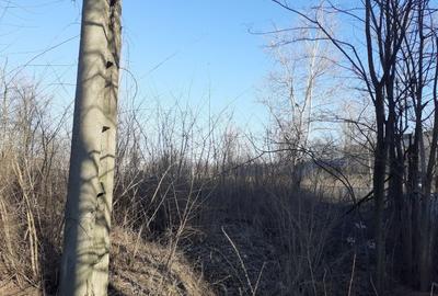 Teren Construcții intravilan de 1427 mp, în 1 Decembrie 1918 - 1