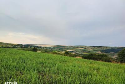 Teren de 1050 mp, în Iris