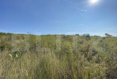 Teren intravilan/extravilan centura Zalau, 8200 mp - 5