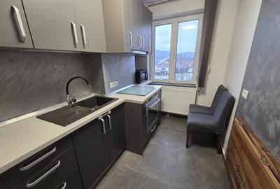 Garsonieră în Bârzava - 15