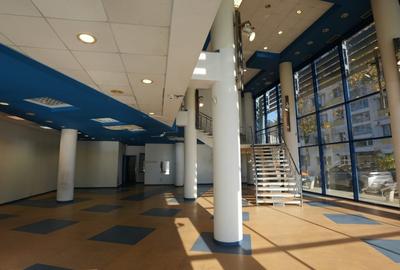 Inchiriere Spatiu Comercial 395 mp P+E Palas Campus Trafic Intens - 3