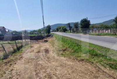 Teren intravilan 1 Ha si 42 Ari, zona Viisoara - 2