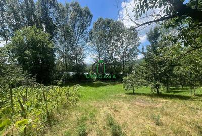 Teren de 3200 mp, în Goranu - 5