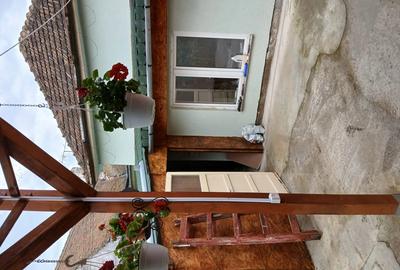 Casa singur in curte - 11