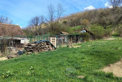 Casă cu 2 camere în Zagăr - 8