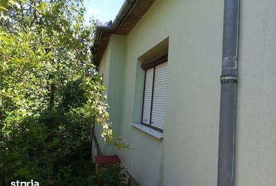 Casă cu 3 camere cu Teren 3320 Mp în Căpușu Mare - 8