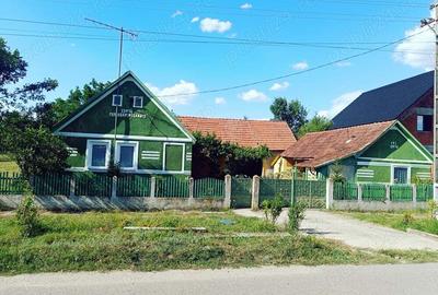 Casa de vanzare sat Tes jud Timis - 2