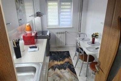 Apartament 2 camere Salajan Theodor Pallady Pet Friendly - 6