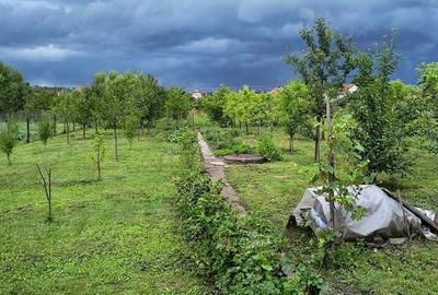 Casă cu 3 camere cu Teren 1025 Mp în Reghin - 2