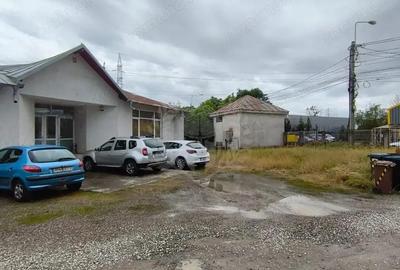 TEREN INTRAVILAN//ZONA ALBERT TEREN INTRAVILAN//ZONA ALBERT - 8