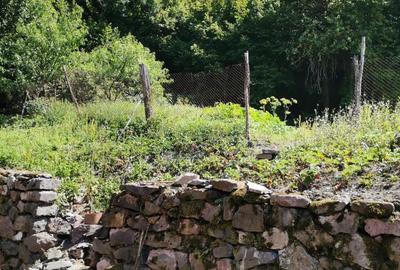 Vanzare casa si teren loca?ie de vis sta?iunea Moneasa - 4