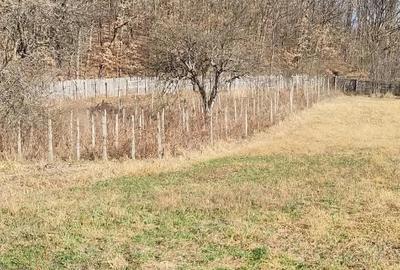 Casă cu Teren 3845 Mp în Leordeni - 5