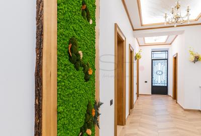 Casă individuală cu 14 camere cu Canalizare în Știrbei Vodă - 18