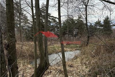 Teren de 15470 mp, în Prundu Bârgăului - 2