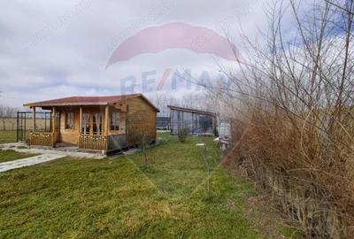 Teren de 1053 mp, în Cocani - 10