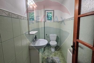 Apartament 4 camere de inchiriat in zona Zorilor - 12