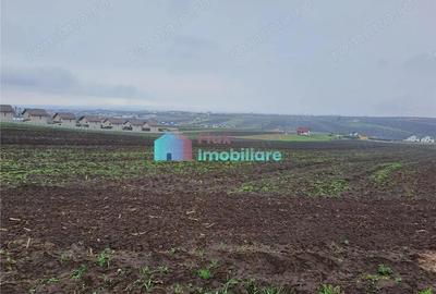 Teren intravilan 1219 mp in Sf. Ilie - 2