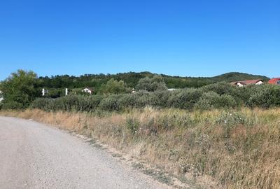 Teren plat, intravilan, zona rezidentiala in Corunca. Ideal pentru investitor - 3