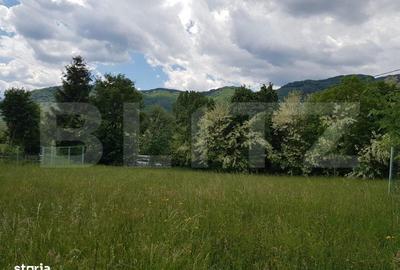 Spațiu comercial, în Predeluț