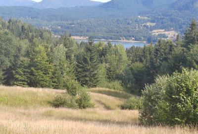 Teren Colibita - 2 hectare - acces direct din drumul 173 D - 2