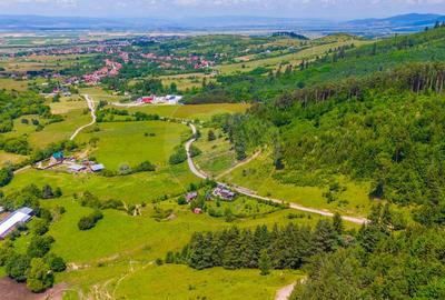 Teren Tarlungeni / Padure / Rau / Liniste / view / 7400mp - 11