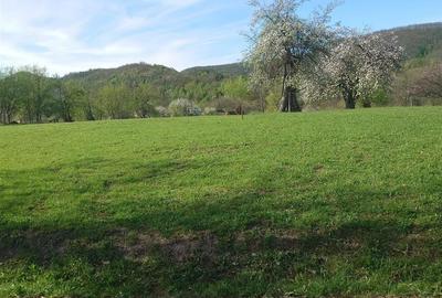 Teren Intravilan  in Luncoiu de Jos, Jd Hunedoara - 2
