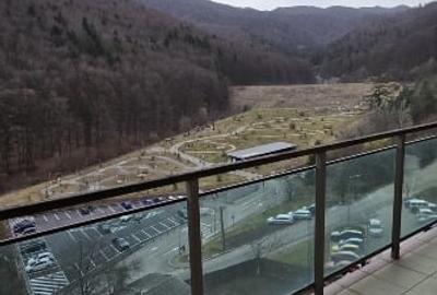 Proprietar vand 2 camere Tampa Garden - 2