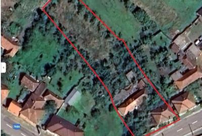 Casa la Tara Capalna, Bihor - 2