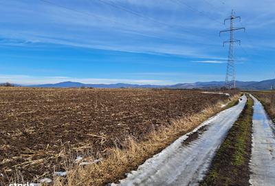 Teren de 3500 mp, în Movilei - 5